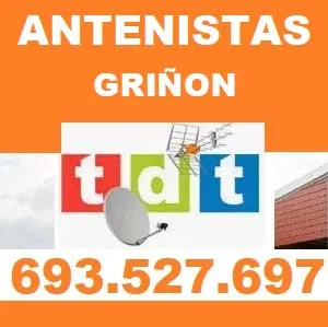 Antenistas Griñon